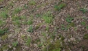 IMGP7368-1024.jpg