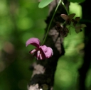 IMGP7397-1024.jpg