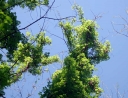 IMGP7402-1024.jpg