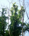 IMGP7403-1024.jpg