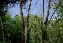 IMGP7404-1024.jpg