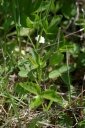IMGP7412-1024.jpg