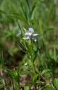 IMGP7413-1024.jpg