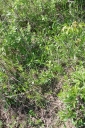 IMGP7418-1024.jpg