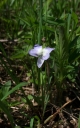 IMGP7419-1024.jpg