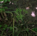 IMGP7430-1024.jpg