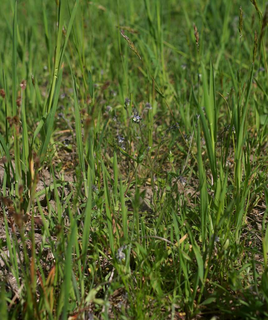 IMGP7581-1024.jpg