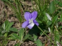 IMGP7436-1024.jpg