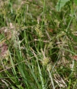 IMGP7450-1024.jpg