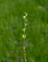 IMGP7457-1024.jpg