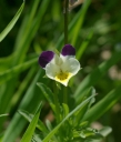 IMGP7484-1024.jpg