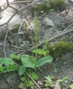 IMGP7487-1024.jpg