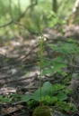 IMGP7491-1024.jpg