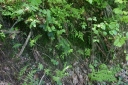 IMGP7527-1024.jpg