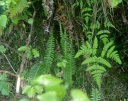 IMGP7528-1024.jpg