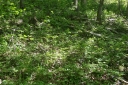 IMGP7540-1024.jpg