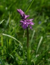 IMGP7546-1024.jpg