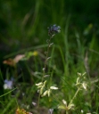 IMGP7574-1024.jpg