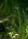 IMGP7575-1024.jpg