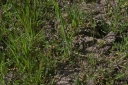 IMGP7582-1024.jpg