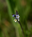 IMGP7583-1024.jpg
