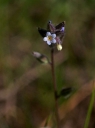 IMGP7614-1024.jpg
