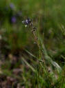 IMGP7615-1024.jpg