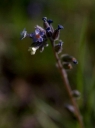 IMGP7616-1024.jpg