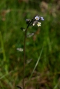 IMGP7619-1024.jpg