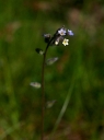 IMGP7620-1024.jpg
