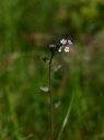 IMGP7622-1024.jpg