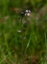 IMGP7623-1024.jpg