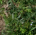 IMGP7628-1024.jpg