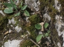 IMGP7633-1024.jpg