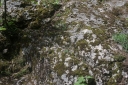 IMGP7640-1024.jpg