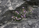 IMGP7663-1024.jpg