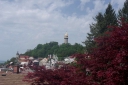 IMGP7676-1024.jpg