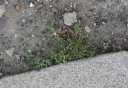 IMGP7679-1024.jpg