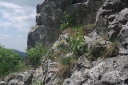 IMGP7708-1024.jpg
