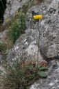 IMGP7709-1024.jpg