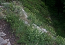 IMGP7714-1024.jpg