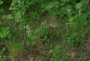 IMGP7817-1024.jpg