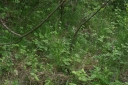 IMGP7857-1024.jpg