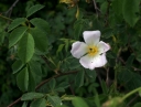 IMGP7908-1024.jpg