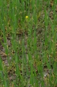 IMGP7922-1024.jpg