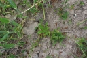 IMGP7923-1024.jpg