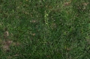 IMGP7987-1024.jpg