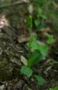 IMGP8001-1024.jpg