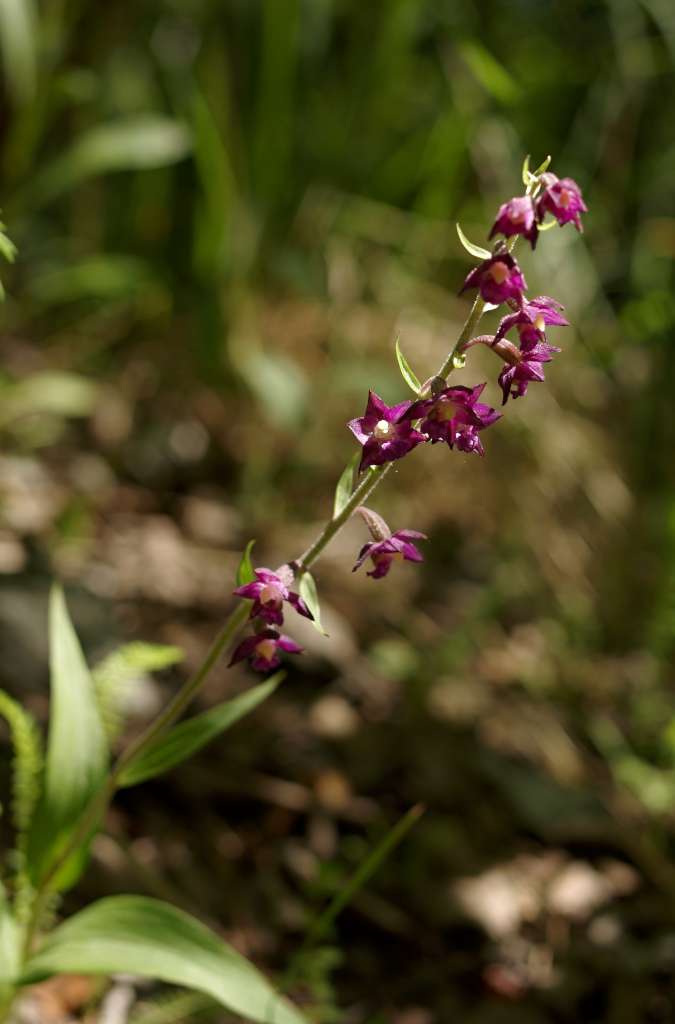 IMGP9244-1024.jpg