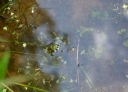 IMGP8522-1024.jpg